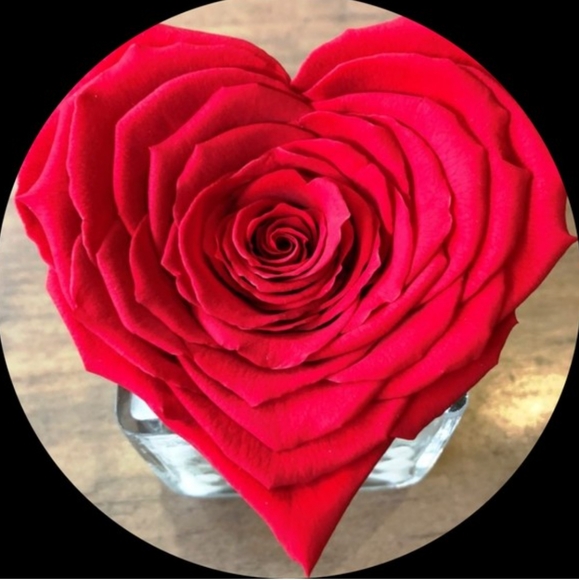 STANLEY: THE VALENTINE’S DAY QUENCHER H2.O FLOWSTATE TUMBLER WITH HANDLE | 20 OZ - Picture 13 of 14